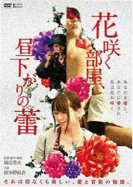 琥珀街32号电影海报